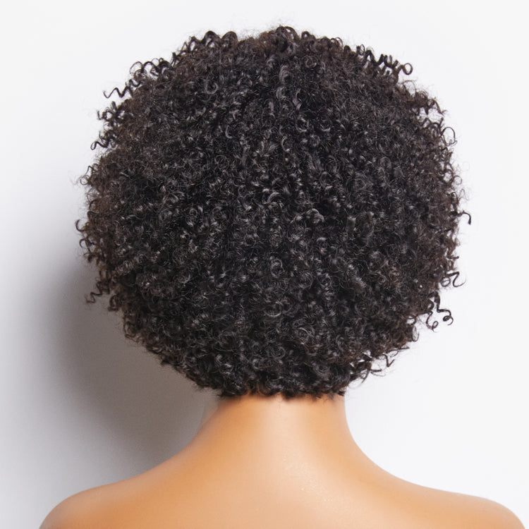 Dark Red / Blonde Highlights / Natural Black Afro Curls Glueless Ready to Go Wig Beginner Friendly - US Only