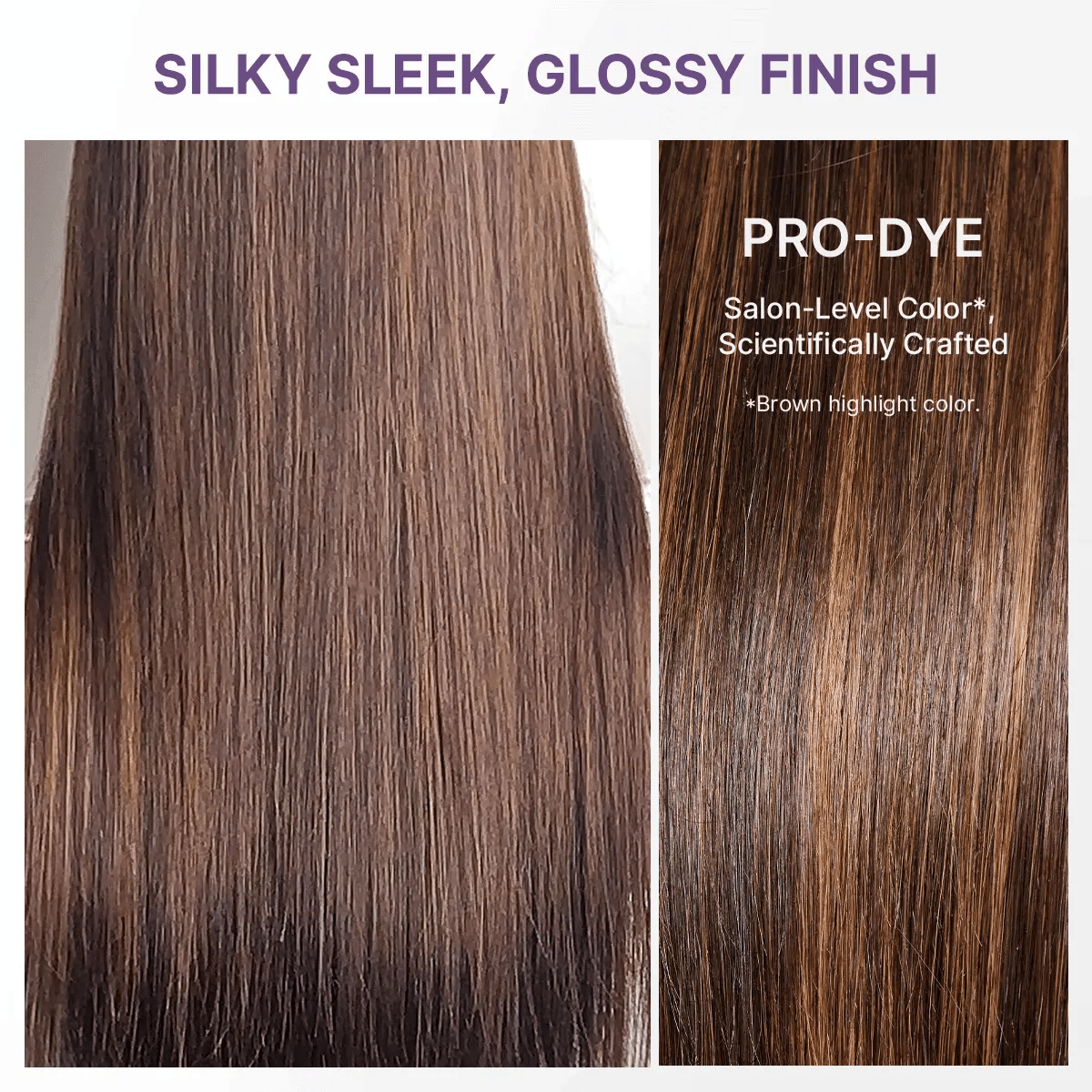 PreMax Wigs - Chestnut Brown with Honey Blonde Highlights Silky Straight 13x4 Frontal Lace Glueless Long Wig Pre-Cut Lace